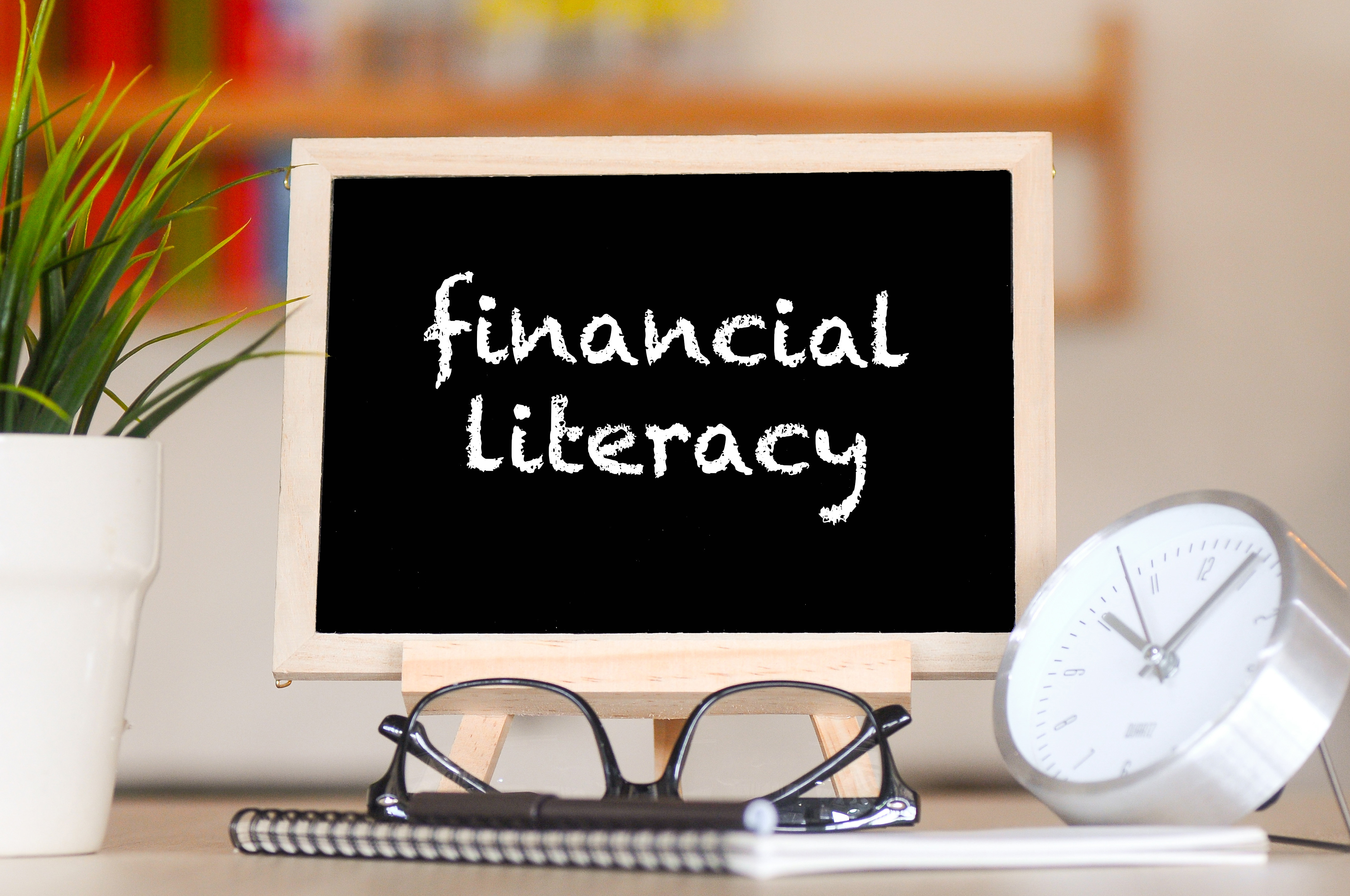 Financial literacy written on chaulkboard